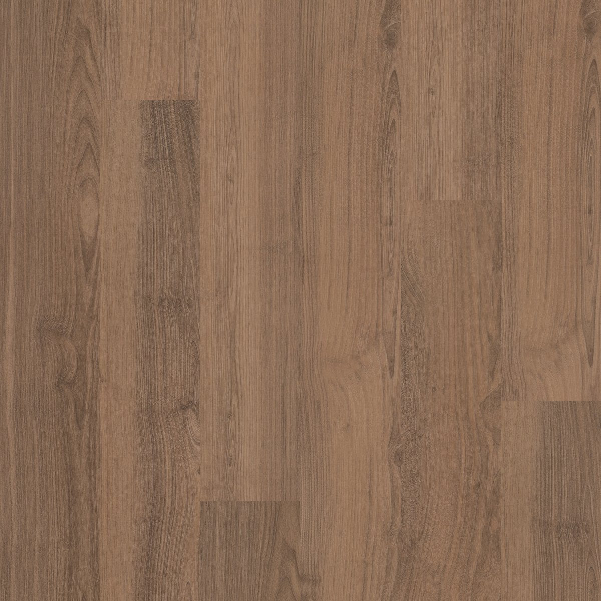 Bosk Pro 6 Driftwood Beech 00700