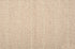 12705 Sage Antrim Broadloom Wool Carpet Blossom Trail – 15 ft wide - GreenFlooringSupply.com