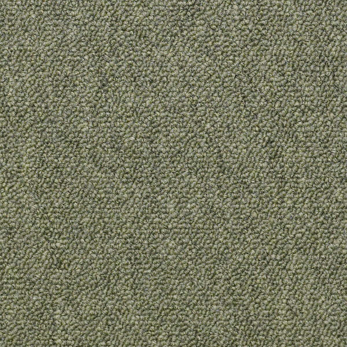 Capital III Tile Distinguished 80301