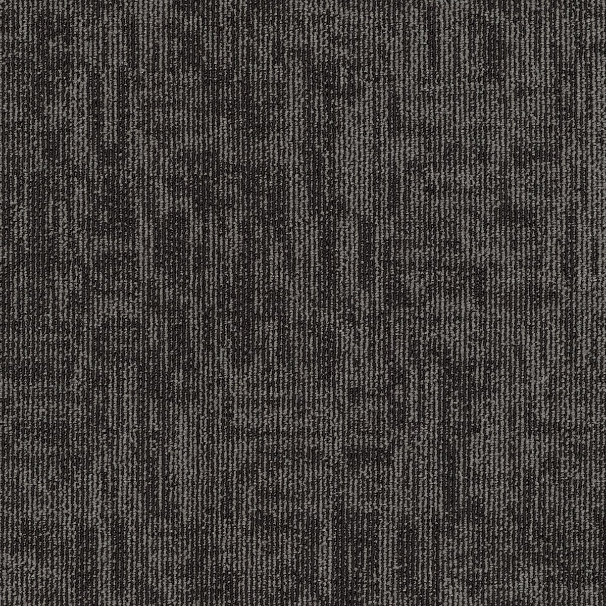 Carbon Copy II Carbonized 06510