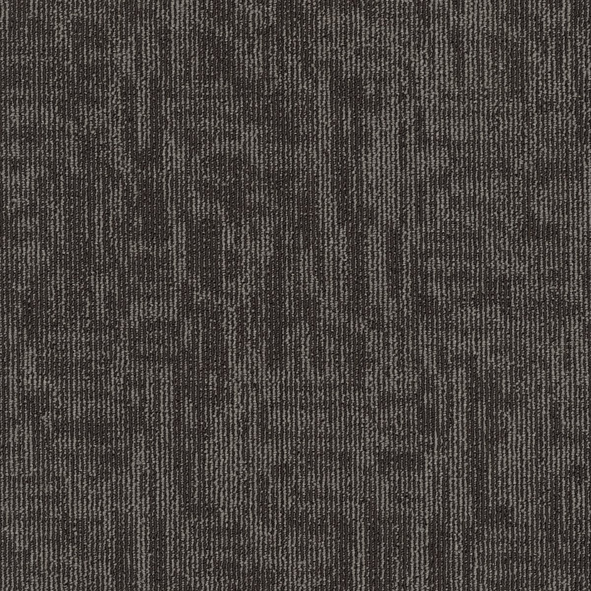 Carbon Copy II Ditto 06700