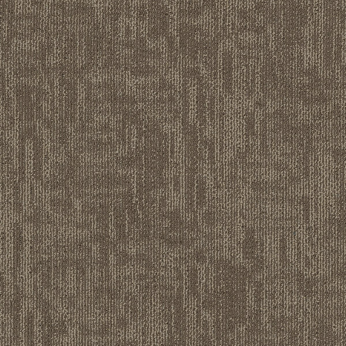 Carbon Copy II Paper-Jam 06172