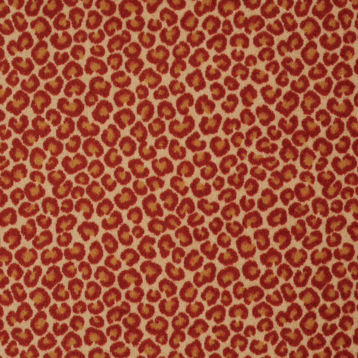 Cheetah Big Cat 09600