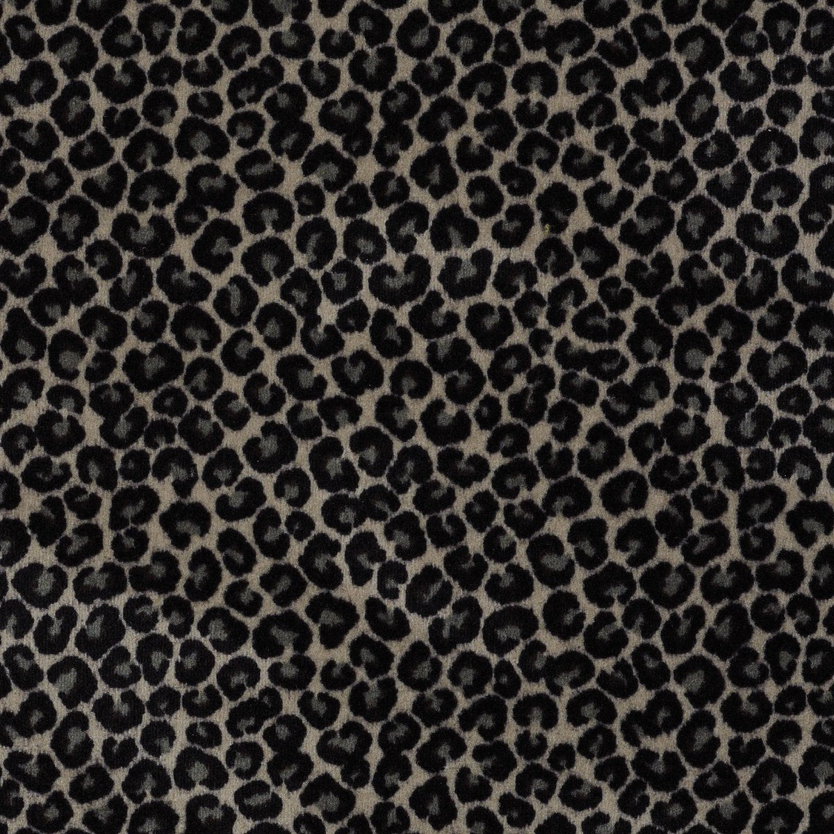 Cheetah Go Getter 09502