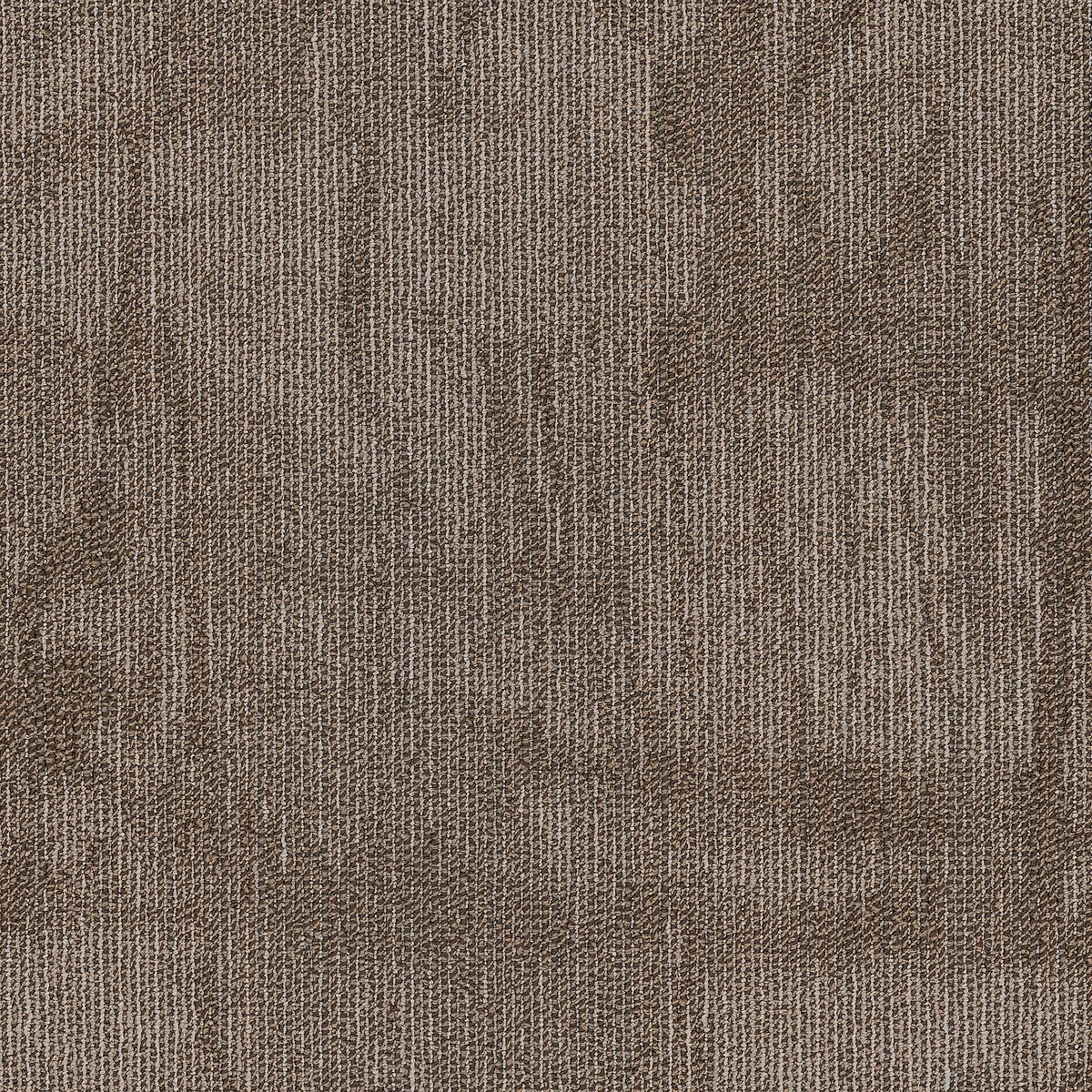 Chiseled Compose 00200