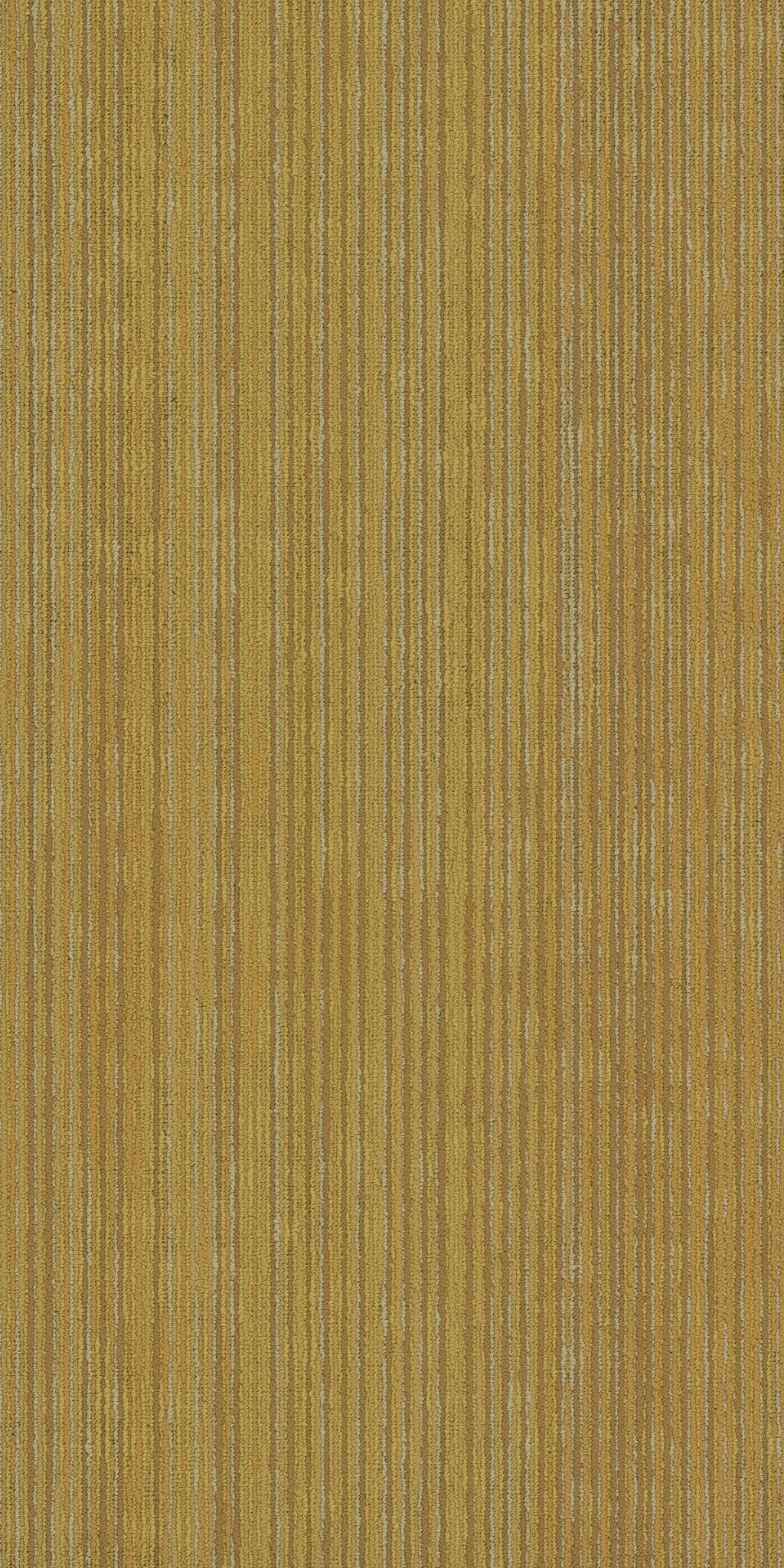Cipher Vector 00200
