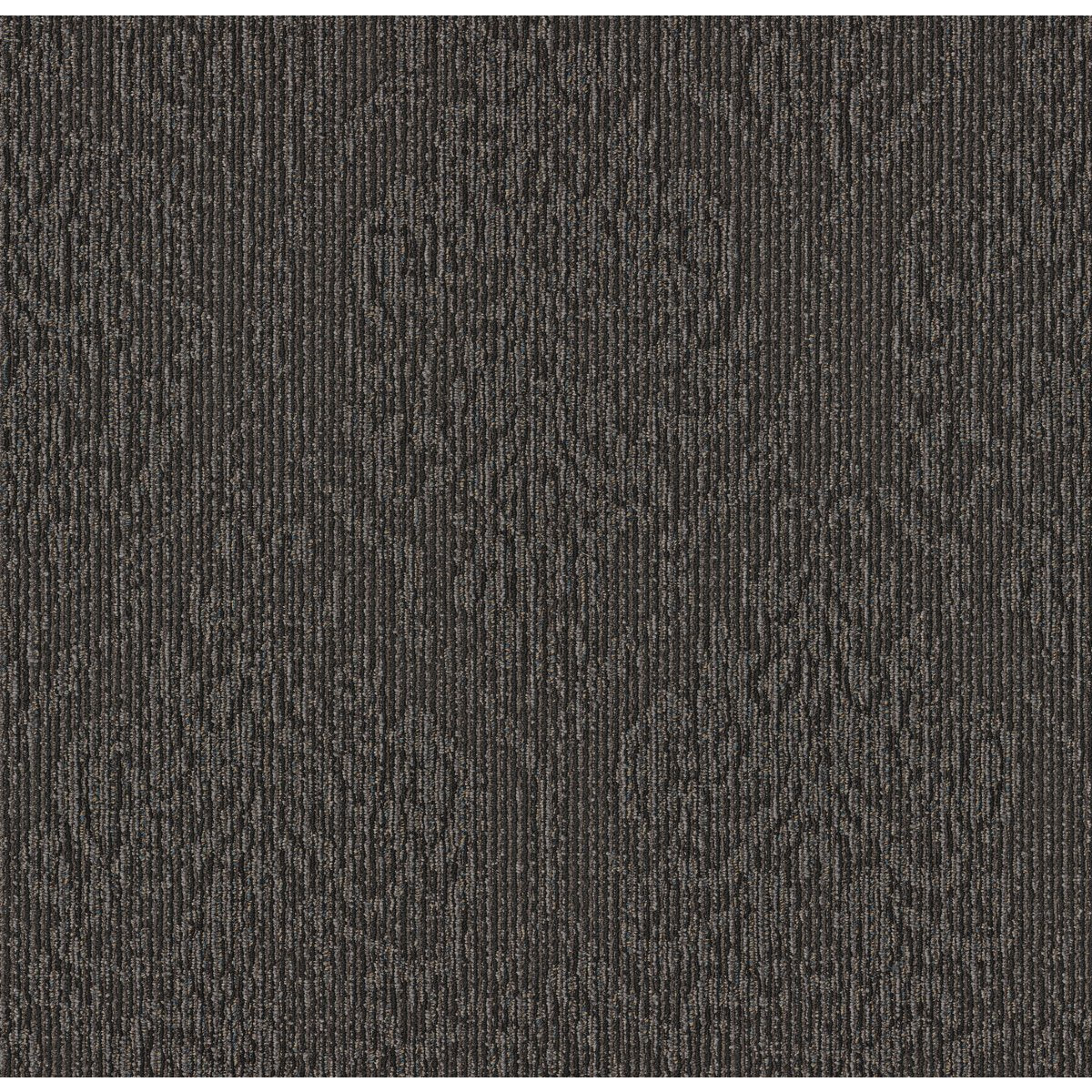 Classic Tradition Winchester 00550