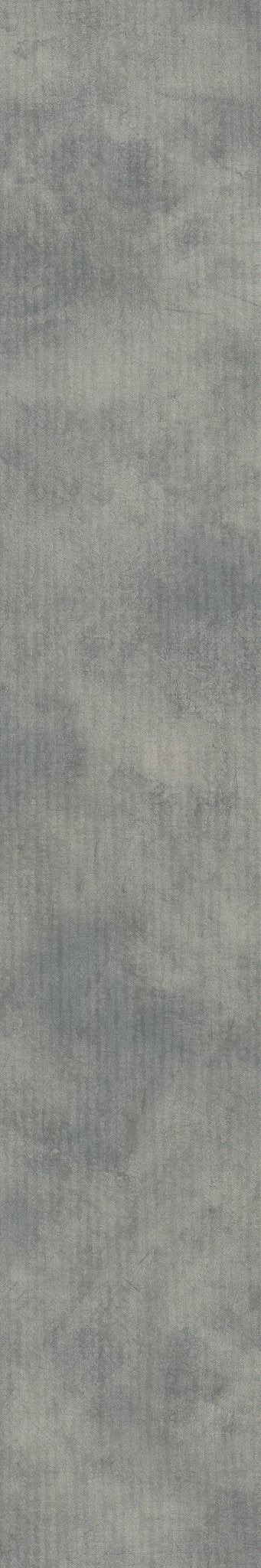 Codex Enigma 00364
