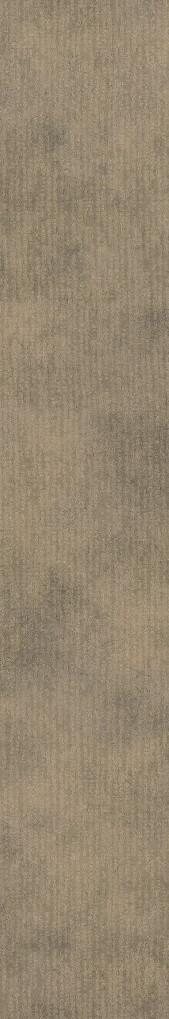 Codex Mesmerize 02068