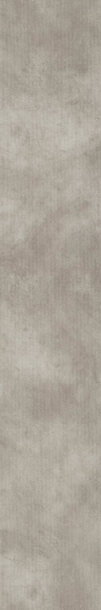 Codex Vision 01133