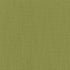 Color Accents Brite Green 62325