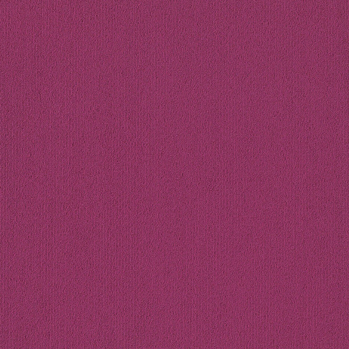 Color Accents Calypso 62890