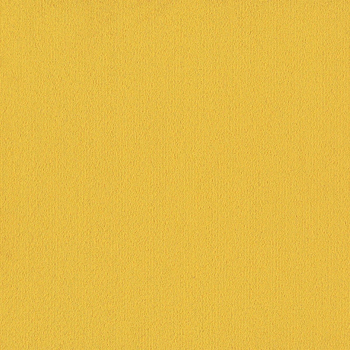Color Accents Citrus 62201