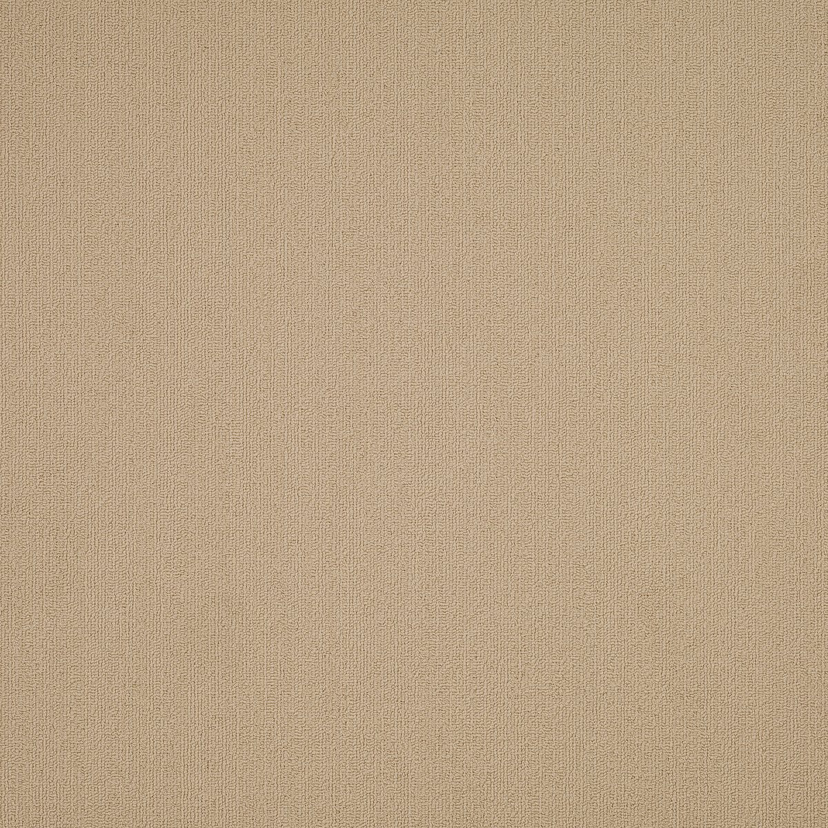 Color Accents Cornsilk 62111