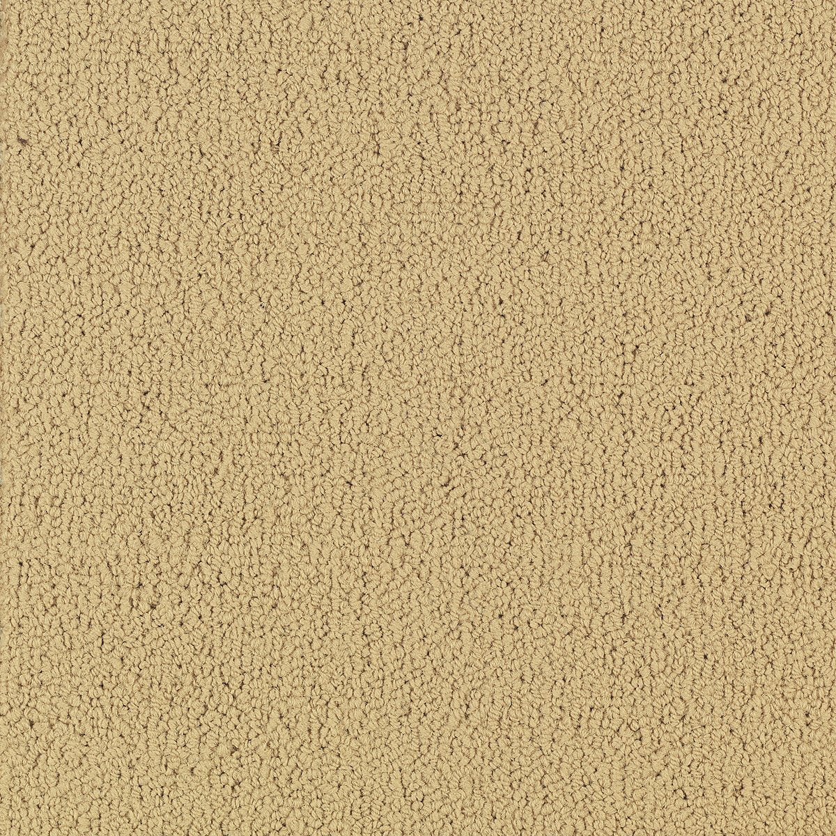 Color Accents Flax 62122