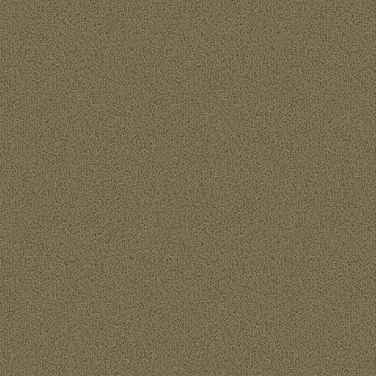 Color Accents Herbal 62302