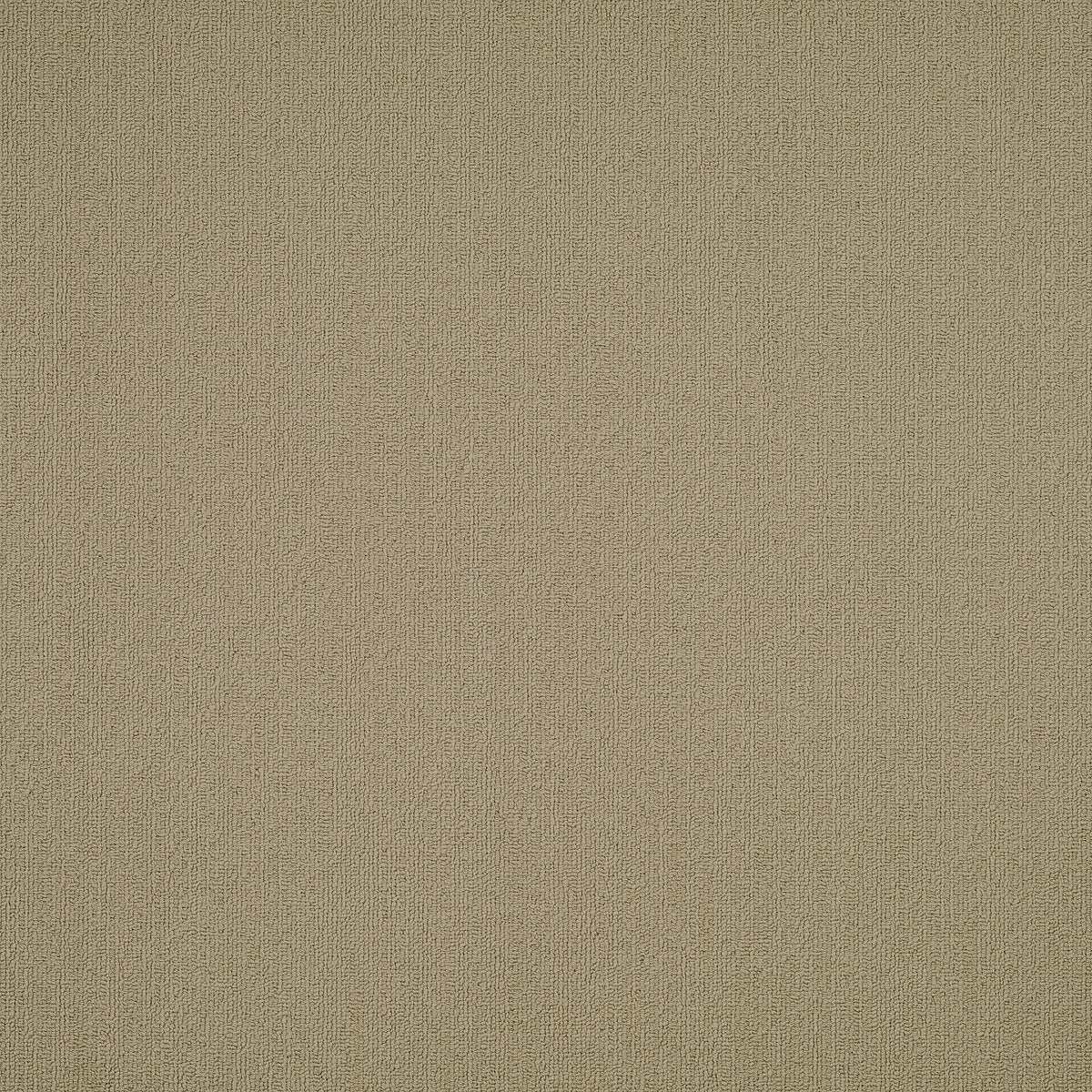 Color Accents Lichen 62544