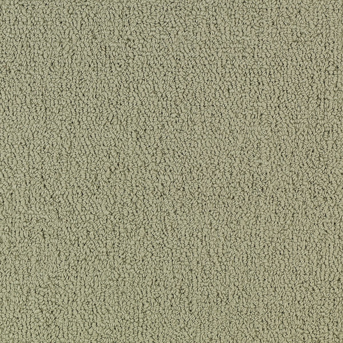 Color Accents Light Taupe 62104
