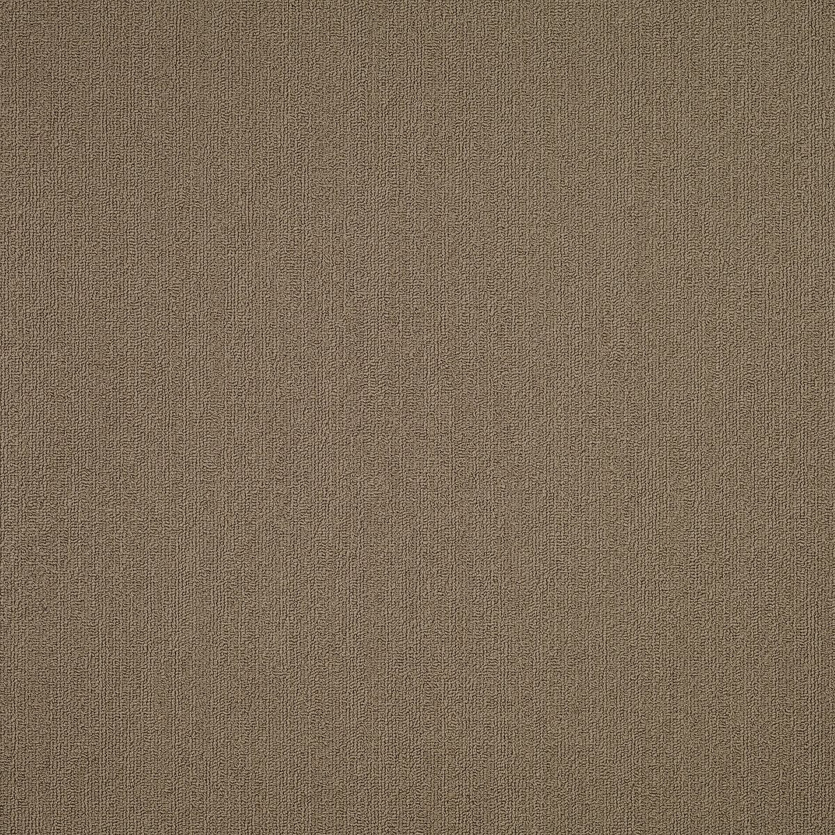 Color Accents Portabella 62761