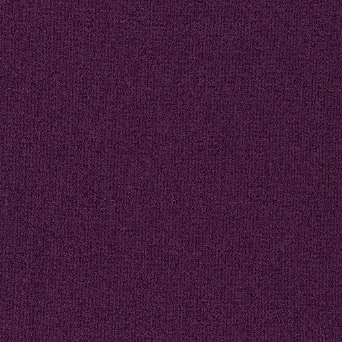 Color Accents Purple 62901
