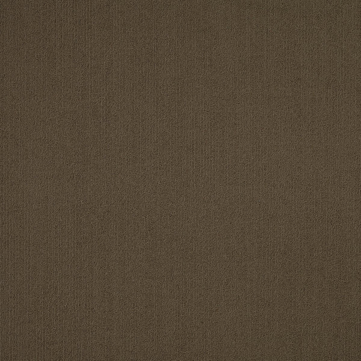 Color Accents Timber 62309