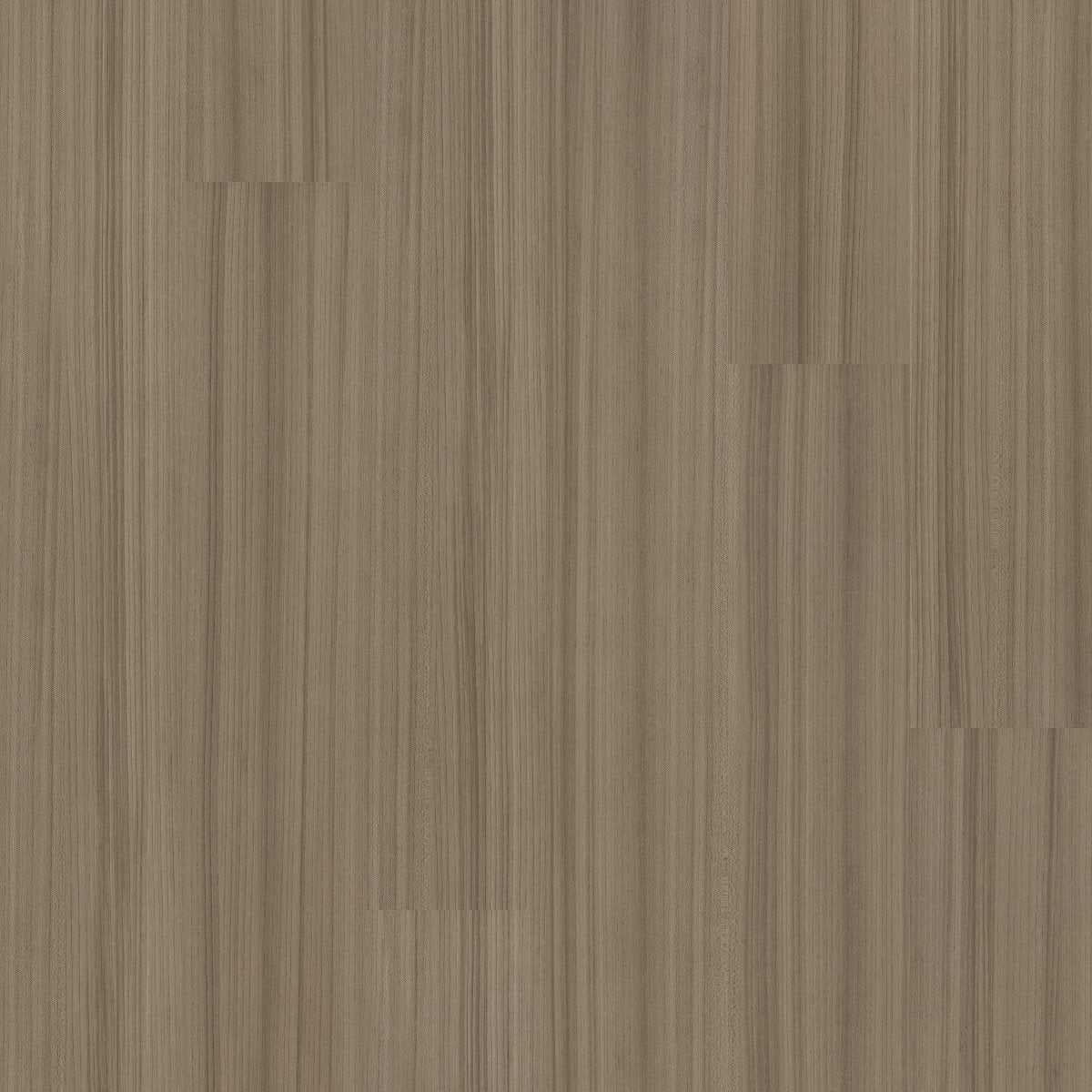 Color Scope 30 Bistre 00710