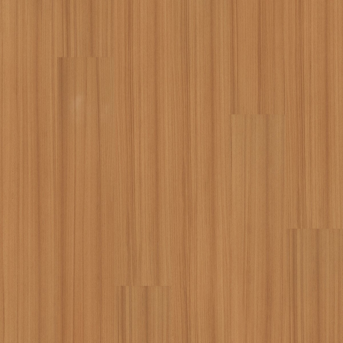 Color Scope 5 Mandarin 00600