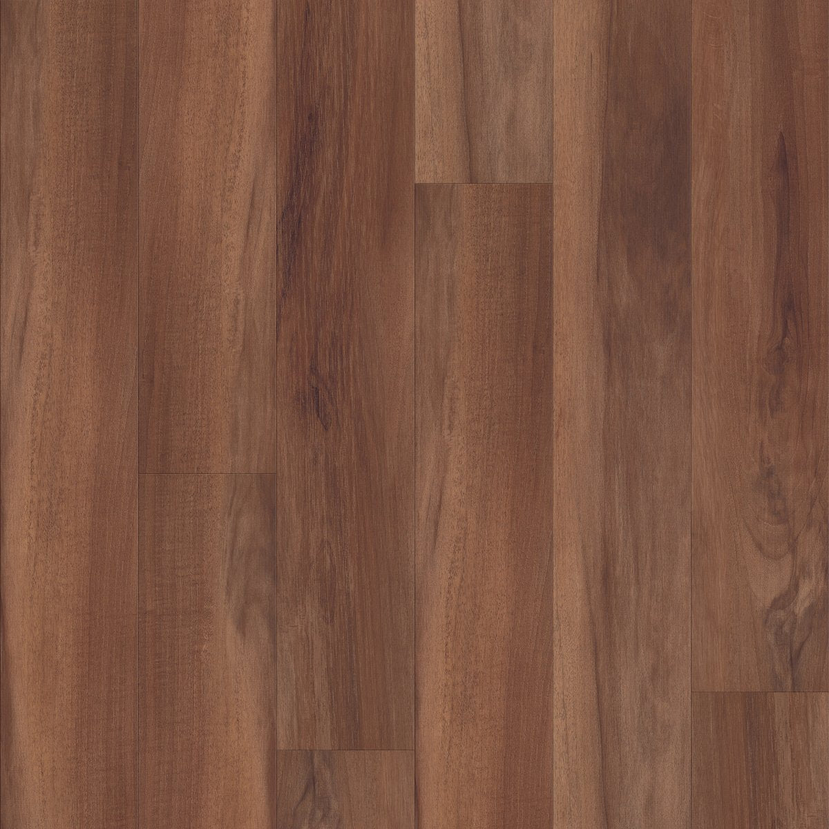 Commonplace Cinnamon 00836