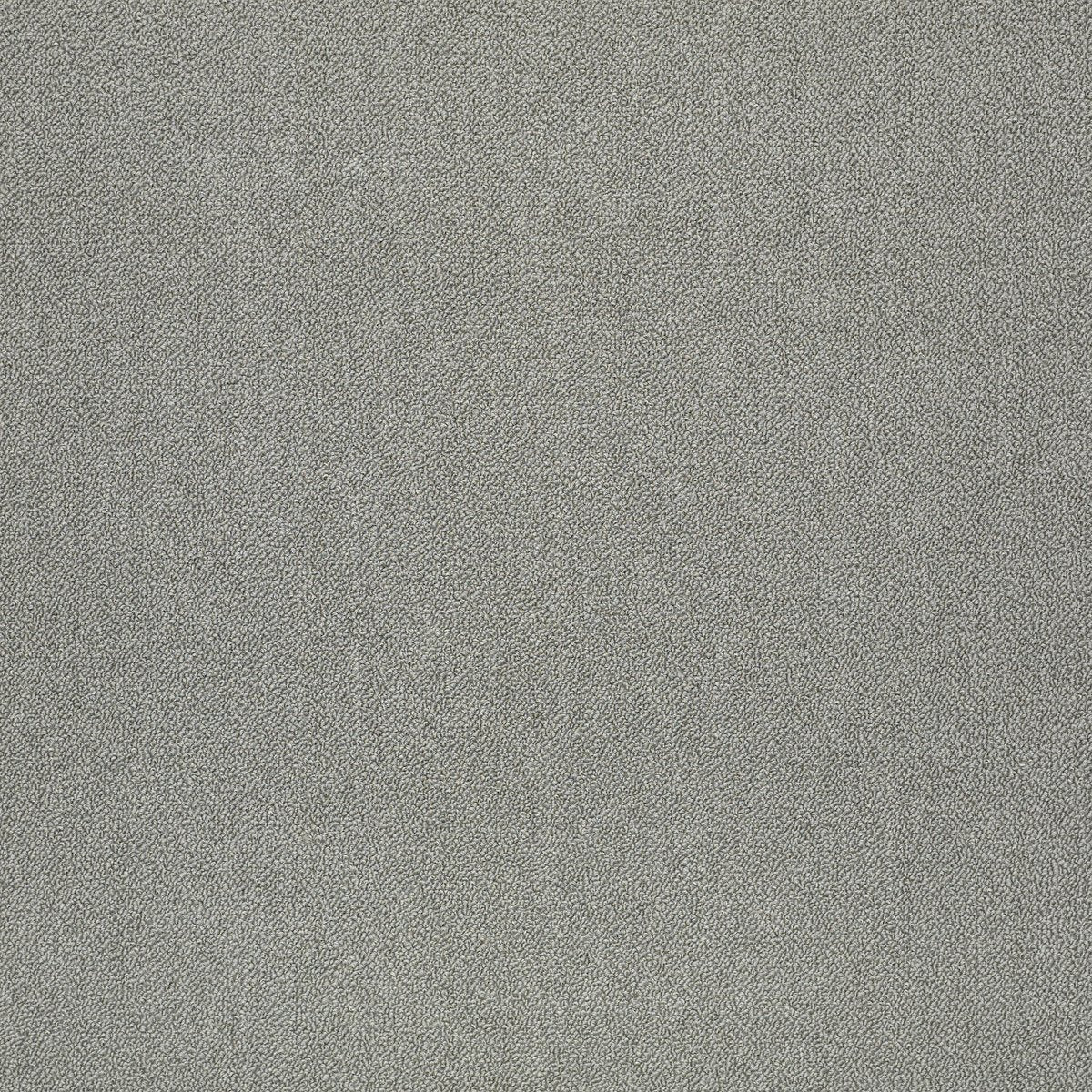 Counterpart Correlate 16505