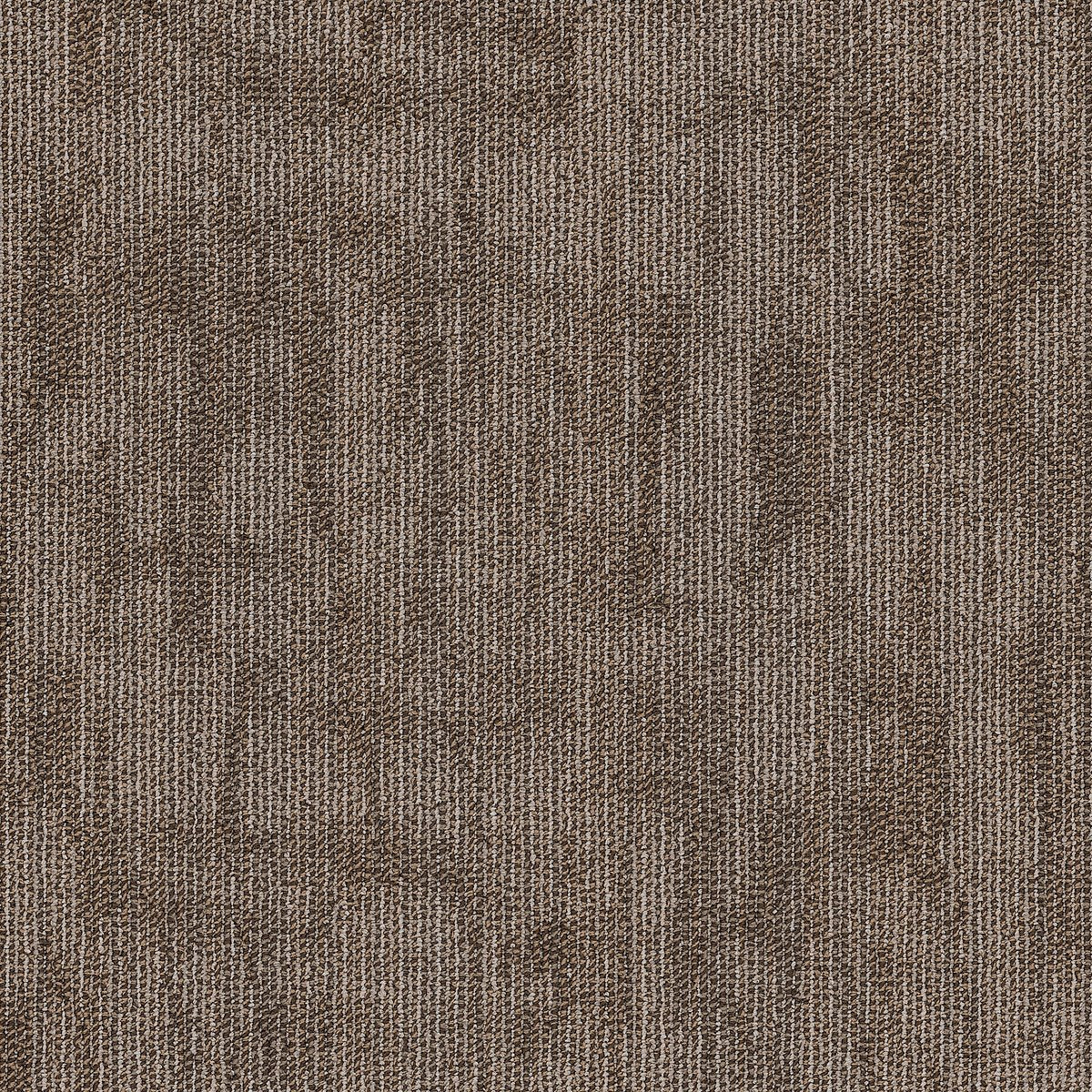 Crackled Compose 00200
