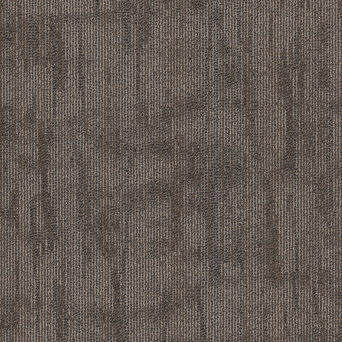 Crackled Construct 00700