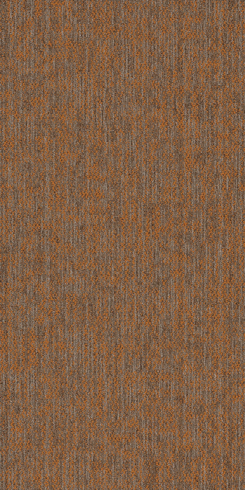 Crazy Smart Magnetic 00610
