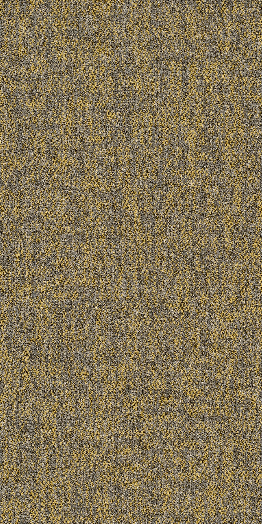 Crazy Smart Radiant 00210