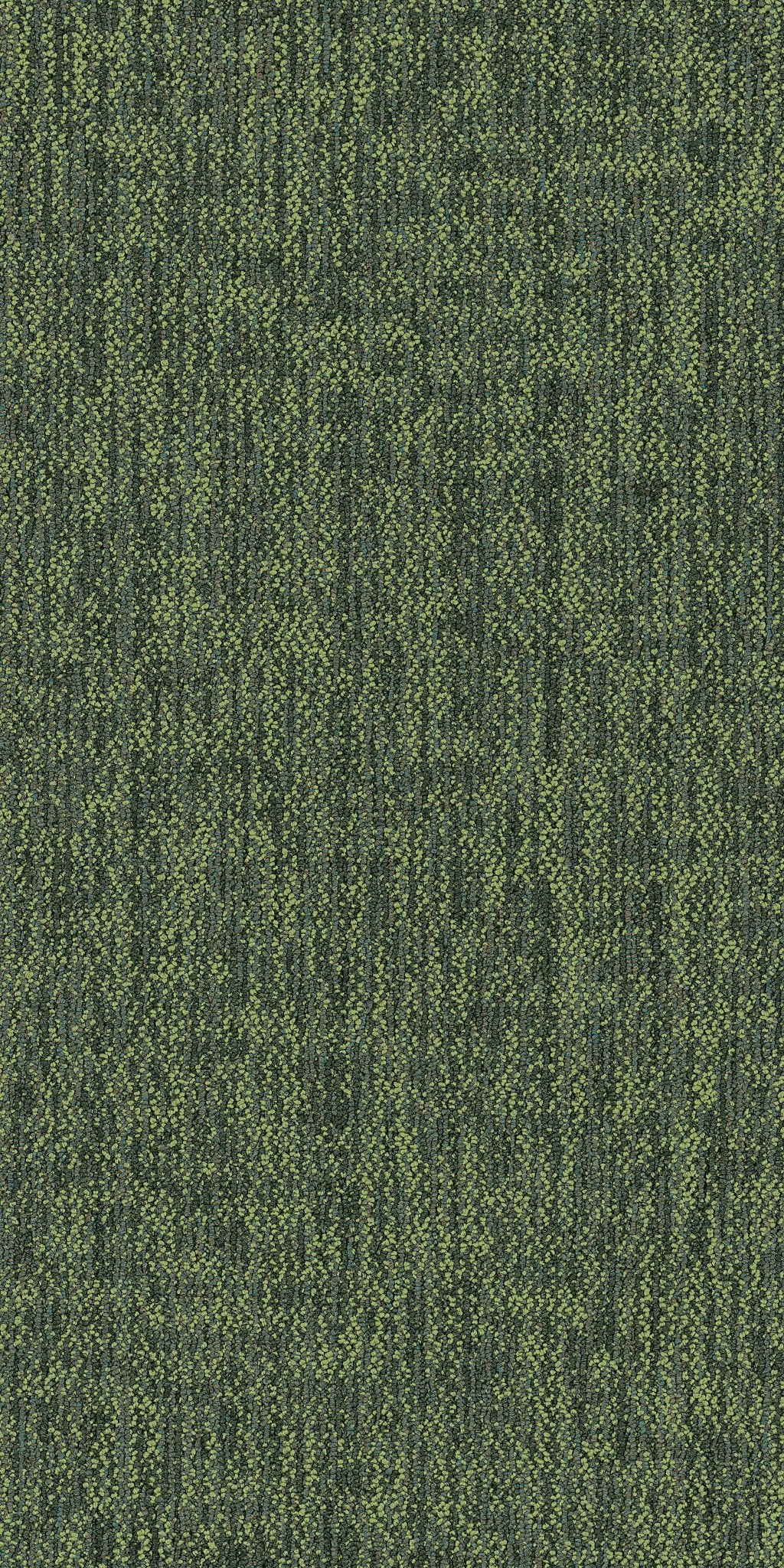 Crazy Smart Witty 00310