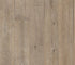 Coretec Plus Classics Premium – Sorrel Oak 7" - GreenFlooringSupply.com