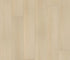 Coretec Plus XL Enhanced Champagne Mist Oak - 9" - GreenFlooringSupply.com