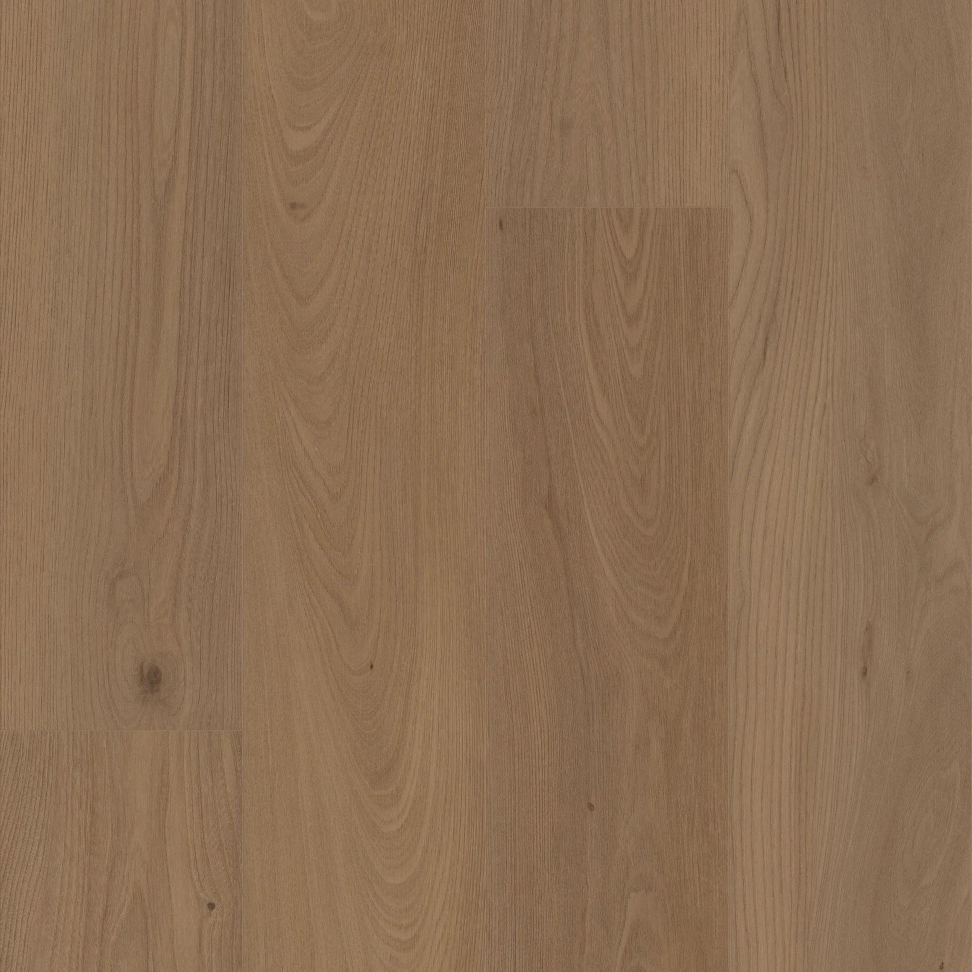 Coretec Pro Plus XL Enhanced  – San Marino Elm 9" - GreenFlooringSupply.com