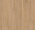 Coretec Plus XL Enhanced Honey Bronze - 9" - GreenFlooringSupply.com