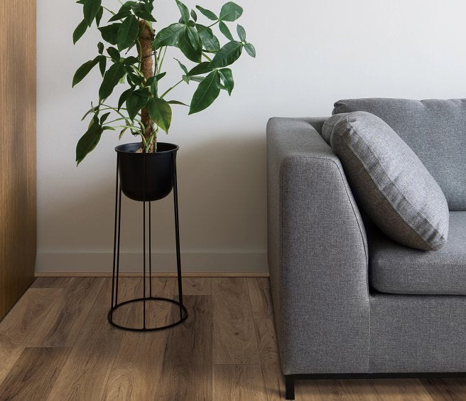 Coretec Pro Plus Enhanced Westlake Oak 7"x48" - GreenFlooringSupply.com