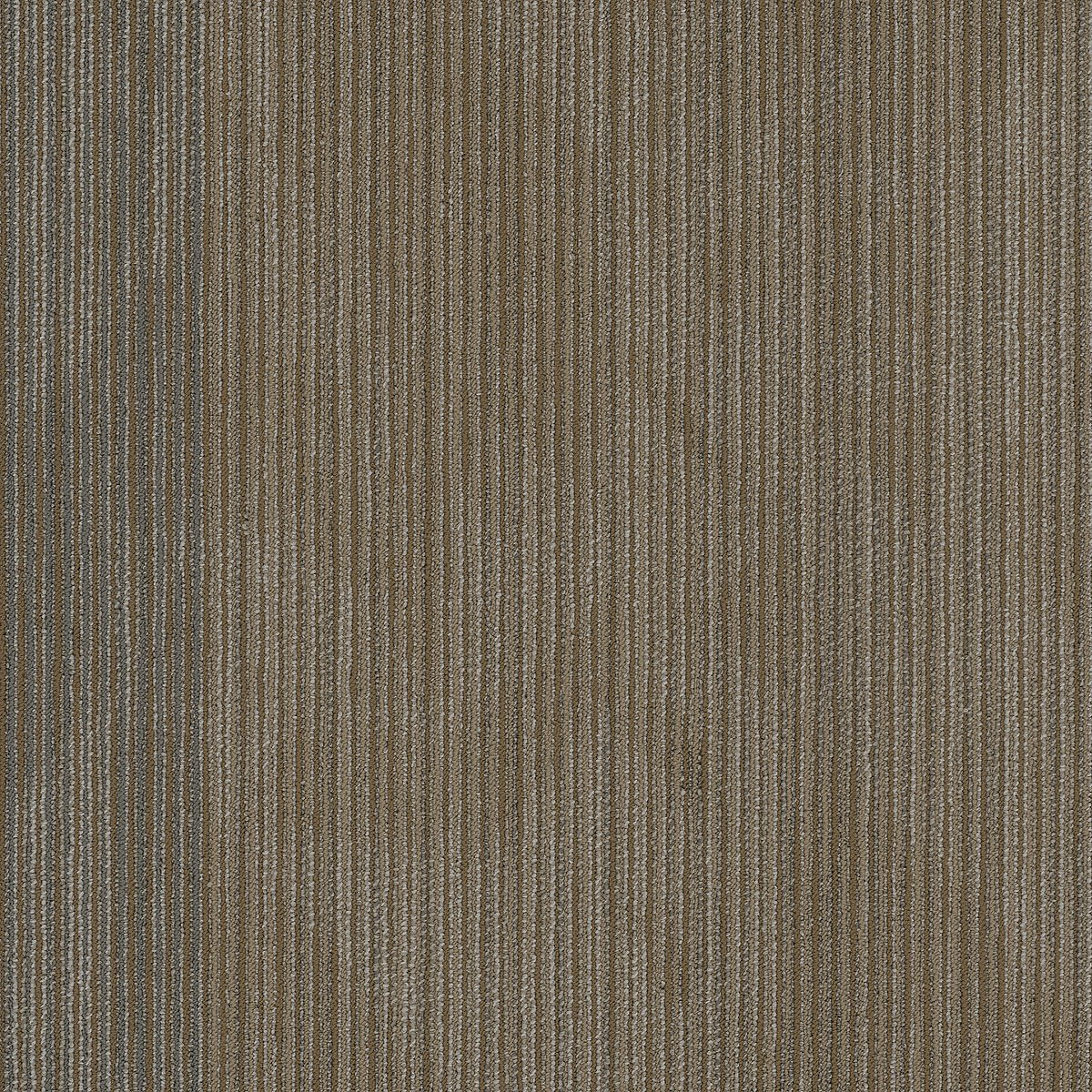 Declare Front-Page 00208