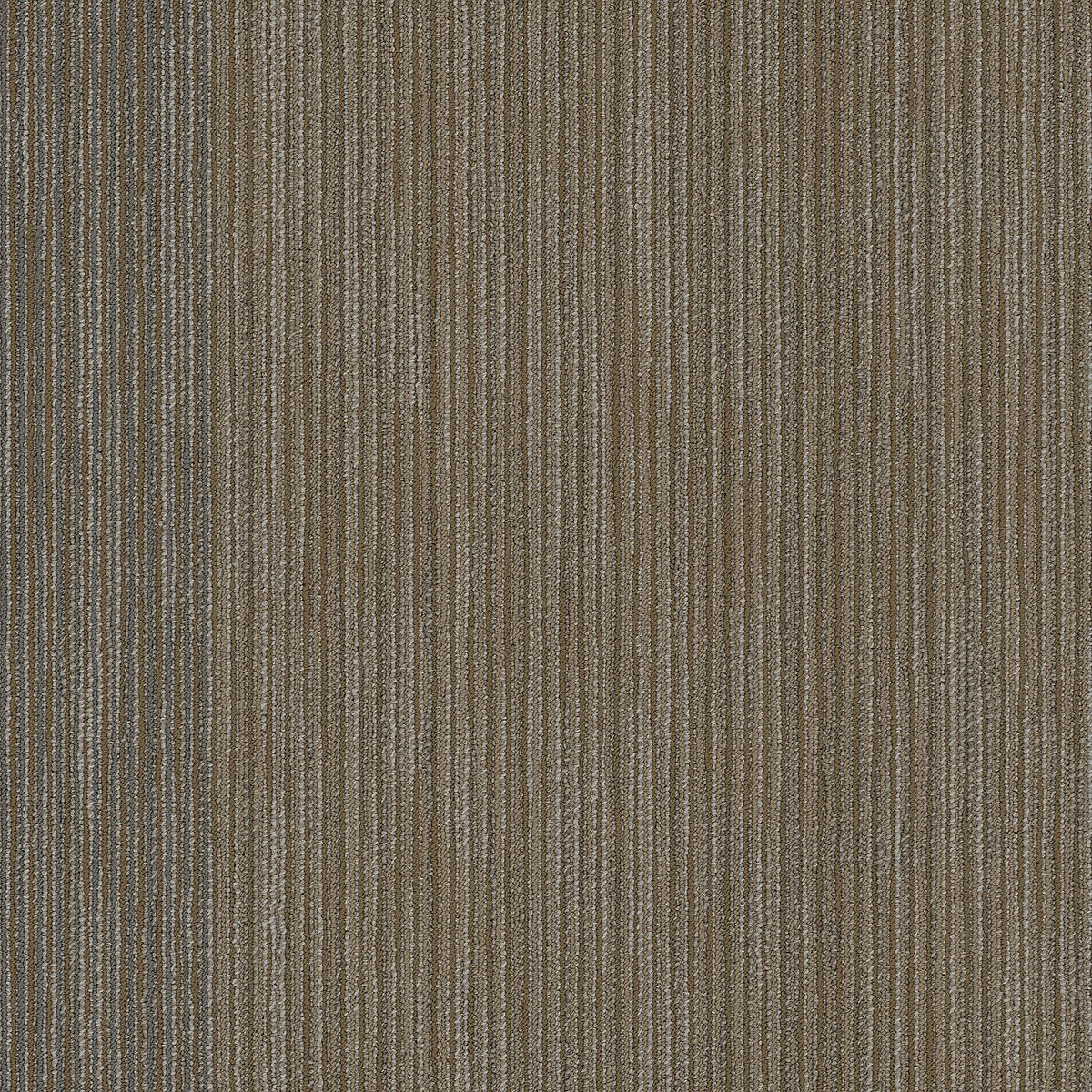 Document Front-Page 00208