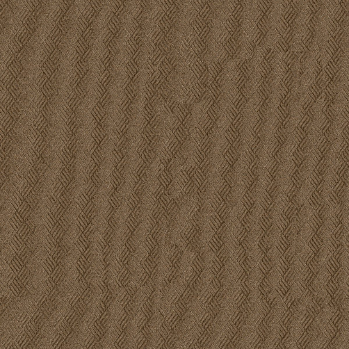 Dreamweaver Haystack 00200