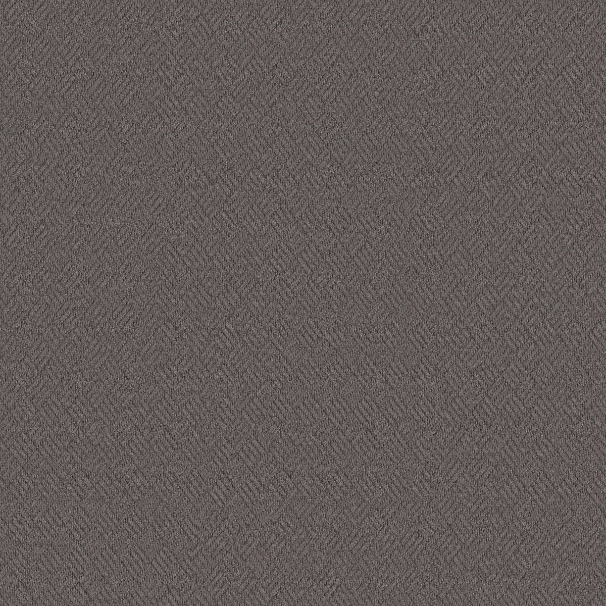 Dreamweaver Tin Roof 00500