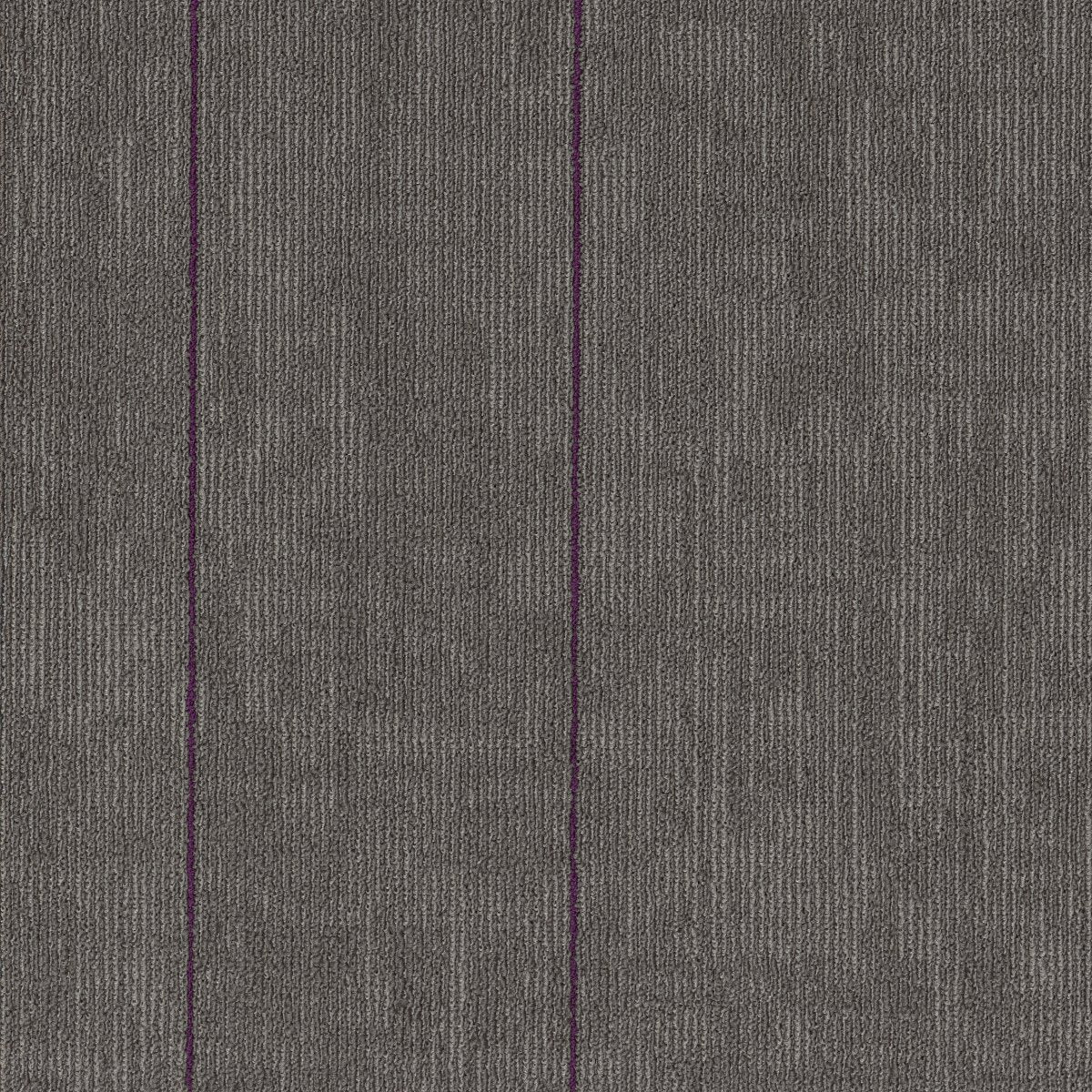 Duoscape TL Glacier Violet 00709
