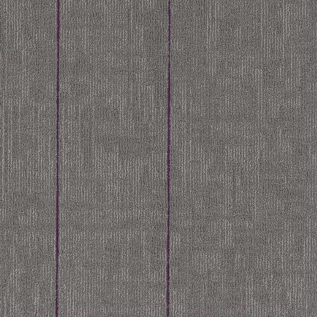 Duoscape TL Twilight Violet 00509