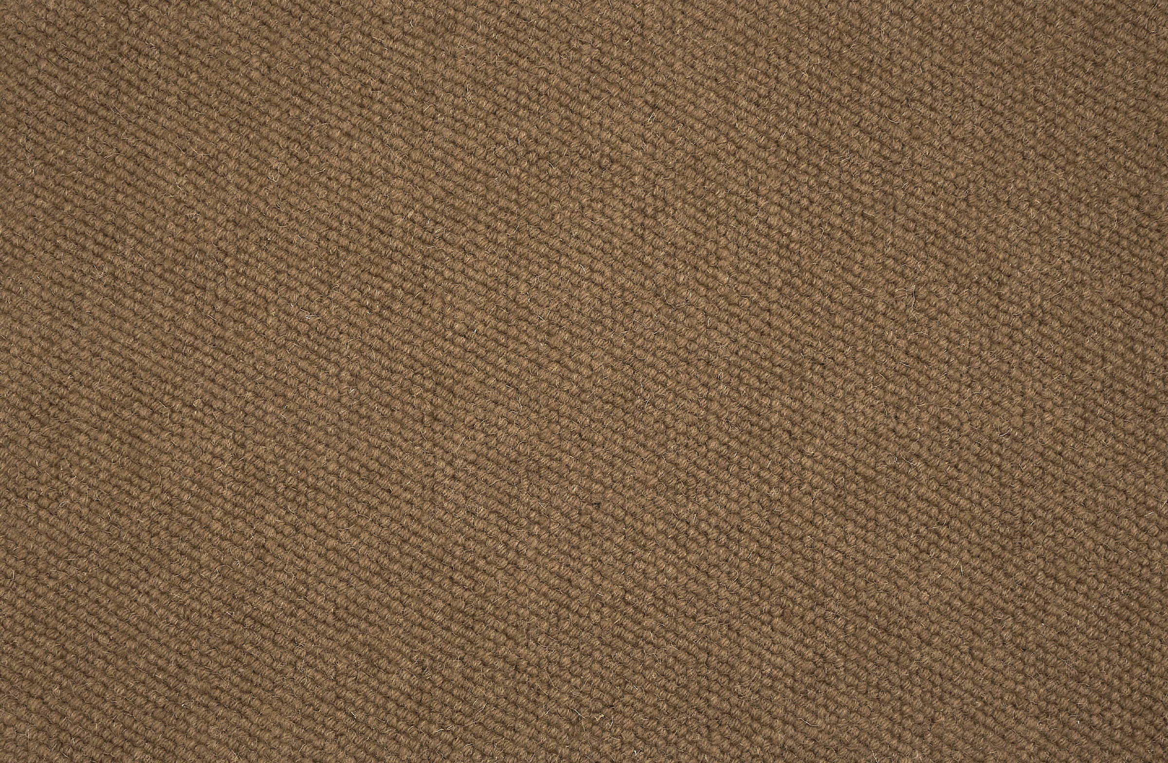 21105 Caramel Antrim Broadloom Wool Carpet Dalai – 15 ft wide - GreenFlooringSupply.com