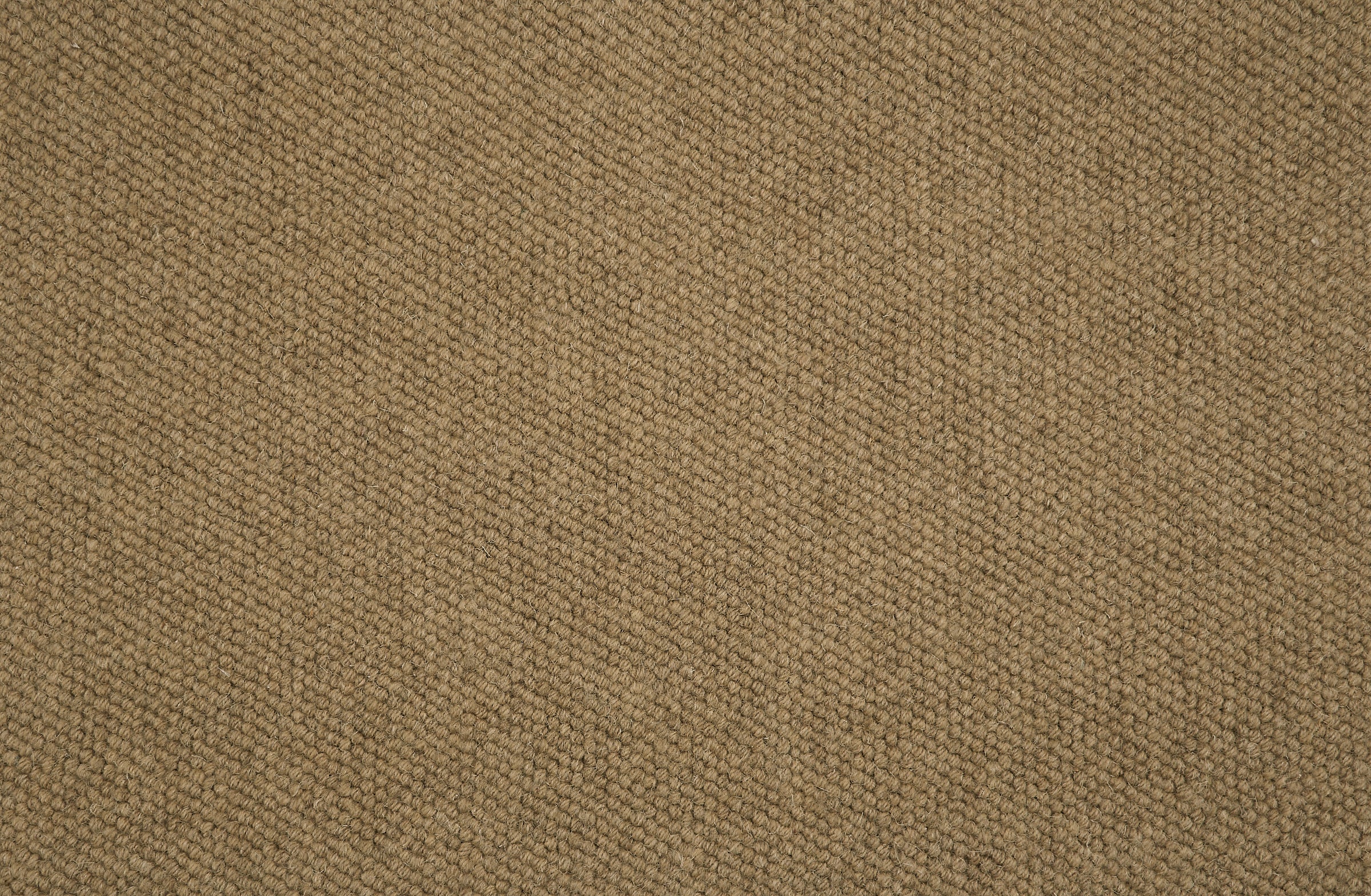 21103 Saddle Antrim Broadloom Wool Carpet Dalai – 15 ft wide - GreenFlooringSupply.com