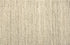 26435 Moss Antrim Broadloom Wool Carpet Daydream – 15 ft wide - GreenFlooringSupply.com