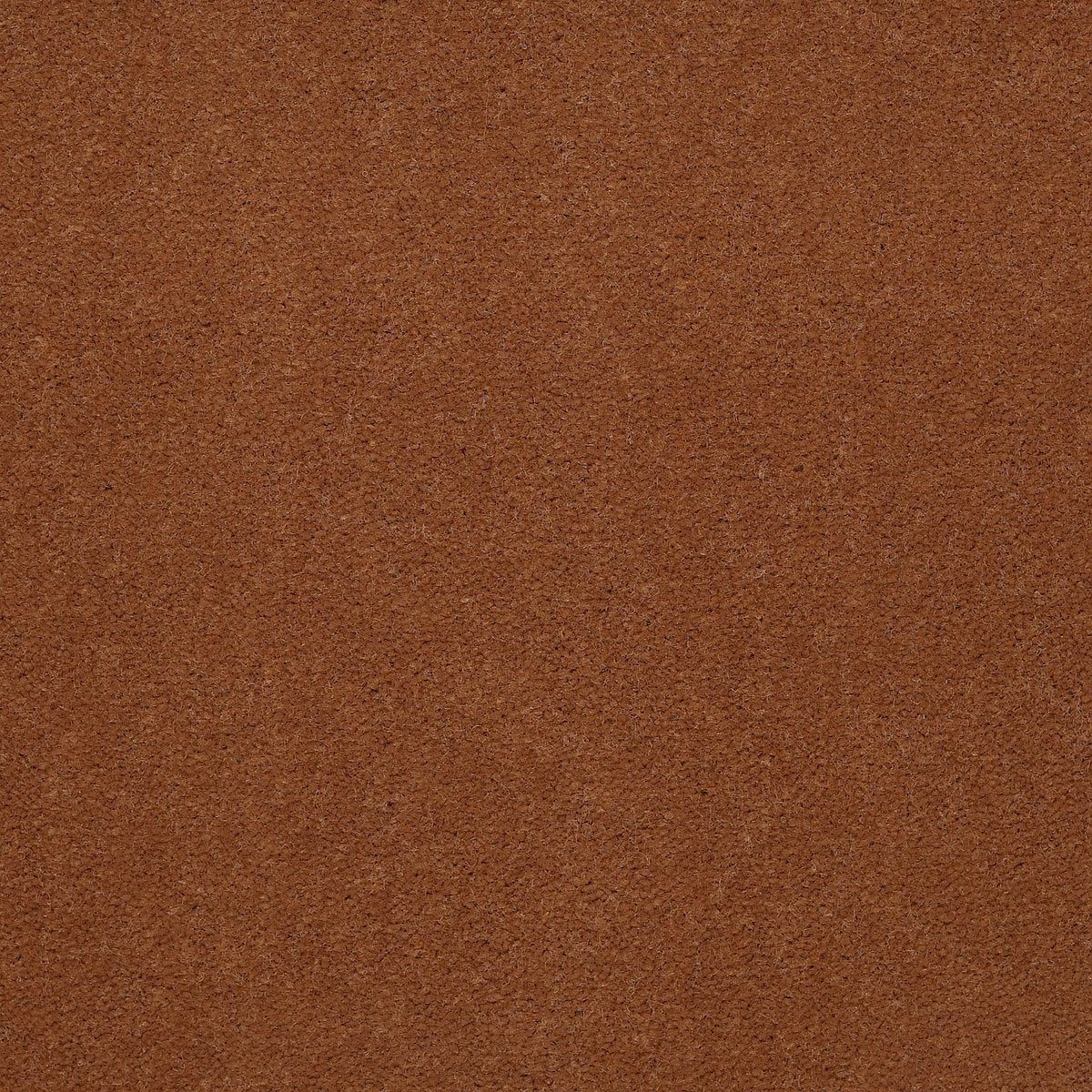Emphatic II 30 Canyon Rim 56291