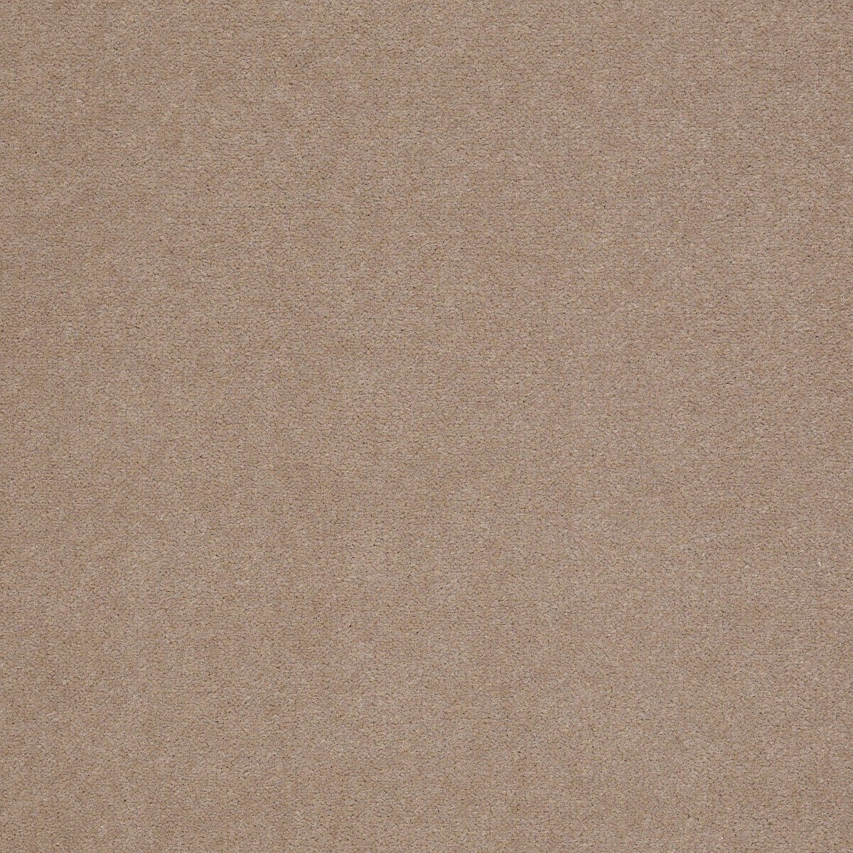 Emphatic II 30 Clay Bisque 56153